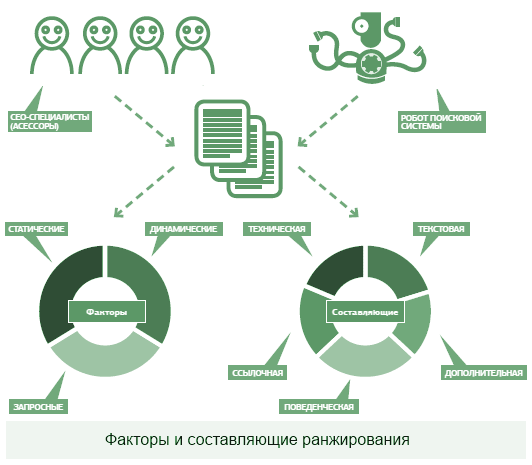 The influence of behavioral factors on promotion