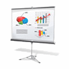 Website usability audit